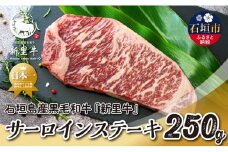 石垣島産 黒毛和牛 新里牛 サーロインステーキ（250g×1）合計250g SZ-28