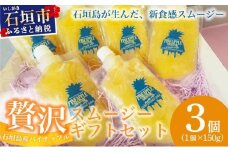 石垣島産パイナップル新食感贅沢スムージーギフト【3個セット】| ふるさと納税 パイナップル パイン スムージー ギフト フルーツ 果物 果実 沖縄県 石垣市 石垣島 PU-03