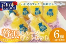 石垣島産パイナップル新食感贅沢スムージーギフト【6個セット】| ふるさと納税 パイナップル パイン スムージー ギフト フルーツ 果物 果実 沖縄県 石垣市 石垣島 PU-04