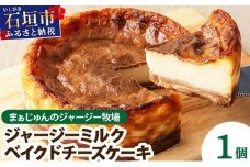 【石垣島 まぁじゅんのジャージー牧場】ジャージーミルクのベイクドチーズケーキ F-4