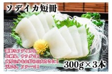 【沖縄県産 巨大イカ】ソデイカ短冊
