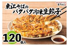 東江そば　冷凍生餃子　120個入
