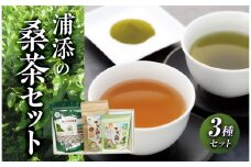 浦添の桑茶セット