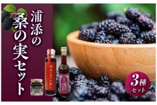 浦添の桑の実セット