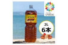 【沖縄限定販売！】紅茶花伝ガーデンレモンティー2L×6本