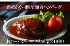 あぐーハンバーグ （ 180g × 10個 ）