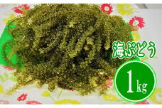 【てだこのまちのグリーンキャビア】海ぶどう（1kg）