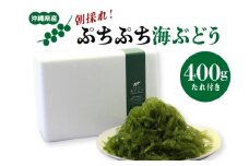 朝採れ! ぷちぷち 海ぶどう 400g 沖縄県産 海ブドウ たれ付き 無着色 沖縄 特産品 沖縄グルメ 海の宝石 海藻 海ぶどう丼 サラダ おつまみ おかず 沖縄料理 常温保存 贈答用 ギフト 産地直送 沖縄県 糸満市 