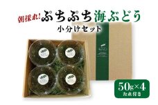 朝採れ! ぷちぷち 海ぶどう 小分け セット 200g 沖縄県産 海ブドウ たれ付き 無着色 沖縄 特産品 沖縄グルメ 海の宝石 海藻 海ぶどう丼 サラダ おつまみ おかず 沖縄料理 常温保存 贈答用 ギフト 産地直送 沖縄県 糸満市 