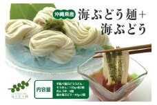 海ぶどう麺 ＜ 6食 セット ＞+ 海ぶどう 沖縄県産 海ブドウ たれ付き そうめん うどん めんつゆ 付き 麺 無着色 沖縄 特産品 沖縄グルメ 海藻 海ぶどう丼 サラダ おつまみ おかず 沖縄料理 常温保存 贈答用 ギフト 産地直送 沖縄県 糸満市 