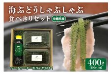 海ぶどう しゃぶしゃぶ 食べきり セット 海ブトウ 100g×4個 シークワーサー塩ぽん酢 1本 沖縄県産 無着色 沖縄 特産品 沖縄グルメ 海藻 海ぶどう丼 サラダ おつまみ おかず 沖縄料理 常温保存 シークワーサー ポン酢 ポン酢 産地直送 沖縄県 糸満市 