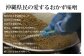 県民が愛する沖縄豚肉みそ（12個セット）