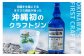 沖縄初のクラフトジン！！「まさひろオキナワジン」2本セット