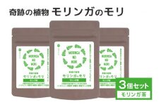 スーパーフード 「モリンガのモリ」 モリンガ茶 (5包入り)×3個 セット 沖縄県産 モリンガ 100% ノンカフェイン お茶 コレステロール 血糖値 高血圧 対策 βカロチン 健康食品 栄養補助 健康茶 無香料 無着色 沖縄県 糸満市 