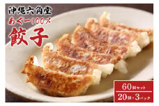 あぐー 100% 餃子 60個 ( 20個 × 3パック ) セット あぐー豚 アグー豚 アグー 豚肉 沖縄県産 豚 ぎょうざ ギョウザ 冷凍餃子 冷凍 沖縄 特産品 お土産 沖縄料理 おつまみ おかず おやつ 焼き餃子 お取り寄せ 沖縄県 糸満市 