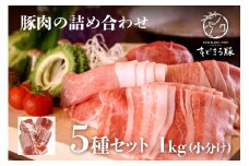 沖縄県ブランド豚 キビまる豚 豚肉の詰め合わせ5種セット1kg 小分け グルメ 食品 肉 贈り物 冷凍 豚肉 おかず お肉 惣菜 お取り寄せ ブランド豚肉 バラエティ セット 新鮮 生肉 高級 柔らかい おいしい おうちご飯 高級肉 贈答 福袋 福箱   沖縄県 糸満市