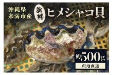 【産地直送】「海人のまち」で水揚げ！新鮮なヒメシャコ貝 約500g 海鮮 貝 シャコ貝 ヒメシャコ貝 刺身 魚介 魚貝 海産物 冷凍 お刺身 産地直送 国産 沖縄 沖縄県産 浜焼き BBQ バーベキュー アウトドア キャンプ 煮物 おつまみ 晩酌   沖縄県 糸満市