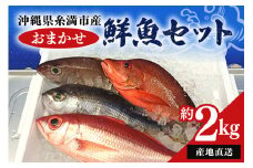【 産地直送 】【漁師まちの鮮魚店厳選】おまかせ 鮮魚 セット(約 2kg ) お魚 魚 詰め合わせ 下処理済み (内臓・ウロコ除去済み) 急速冷凍 真空パック 沖縄 鮮魚セット 詰合せ 鮮魚店 厳選 お任せ 鮮度 産直 海鮮 加熱用 冷凍保存 沖縄県 糸満市 