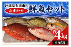 【 産地直送 】【漁師まちの鮮魚店厳選】おまかせ 鮮魚 セット(約 4kg ) お魚 魚 詰め合わせ 下処理済み (内臓・ウロコ除去済み) 急速冷凍 真空パック 沖縄 鮮魚セット 詰合せ 鮮魚店 厳選 お任せ 鮮度 産直 海鮮 加熱用 冷凍保存 沖縄県 糸満市 