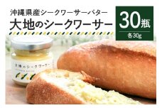 【大容量セット】 沖縄県産 シークワーサーバター「大地のシークワーサー」 30瓶入り フルーツバター シークワーサー 沖縄 果物 バター ジャム 朝食 フルーツ パン デザート スイーツ 酸味 甘み ギフト プレゼント 大容量 セット 沖縄県 糸満市 