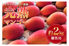 【 先行予約 2025年 発送 】 カネシロマンゴー農園 完熟マンゴー 贈答用 マンゴー 沖縄県産 マンゴー 2kg アップルマンゴー アーウィンマンゴー 国産 完熟マンゴー 果物 南国 くだもの フルーツ 完熟 夏 旬 沖縄 お取り寄せ 甘い 濃厚 糸満市 