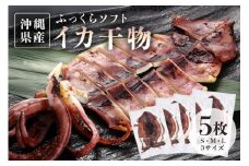 【海人（漁師）のまち】沖縄県産イカのふっくらソフト干物５枚セット