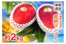 【 先行予約 2025年 発送 】 沖縄県 糸満産 完熟マンゴー 約 2kg マンゴー 沖縄県産 マンゴー アップルマンゴー アーウィンマンゴー 2キロ 果物 南国 くだもの フルーツ 完熟 夏 旬 特産品 沖縄 お取り寄せ 産地直送 農家直送 甘い 濃厚 糸満市 