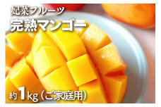【 先行予約 2025年 発送 】 沖縄県 糸満産 ! 妃菜フルーツ 完熟マンゴー 約 1kg ( ご家庭用 ) マンゴー 沖縄県産 マンゴー アップルマンゴー アーウィンマンゴー 国産 果物 南国 くだもの フルーツ 完熟 夏 旬 沖縄 産地直送 農家直送 糸満市 