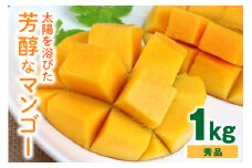 【 先行予約 2025年 発送】 沖縄の太陽を浴びた芳醇なマンゴー 1kg ( 秀品 ) 沖縄県産 マンゴー アップルマンゴー アーウィンマンゴー 1キロ 国産 完熟マンゴー 果物 南国 くだもの フルーツ 完熟 夏 旬 沖縄 お取り寄せ 産地直送 農家直送 糸満市 