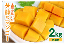 【 先行予約 2025年 発送】 沖縄の太陽を浴びた芳醇なマンゴー 2kg ( ご家庭用 ) 沖縄県産 マンゴー アップルマンゴー アーウィンマンゴー 国産 完熟マンゴー 果物 南国 くだもの フルーツ 完熟 夏 旬 沖縄 お取り寄せ 産地直送 農家直送 糸満市 