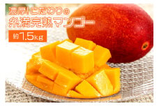 【 先行予約 2025年 発送 】 濃厚 ! こだわりの糸満 完熟マンゴー 約 1.5kg 沖縄県産 マンゴー アップルマンゴー アーウィンマンゴー 国産 完熟マンゴー 果物 南国 くだもの フルーツ 完熟 夏 旬 沖縄 お取り寄せ 産地直送 農家直送 甘い 糸満市 
