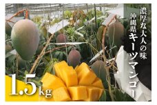 【 先行予約 2025年 発送 】 濃厚な大人の味 沖縄県「 キーツマンゴー 」1.5kg 沖縄県産 マンゴー 1.5キロ 緑色 希少 国産 果物 南国 くだもの フルーツ 夏 旬 特産品 沖縄 お取り寄せ 産地直送 農家直送 甘い 濃厚 糸満市 
