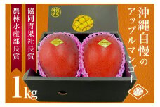 【先行予約 2025年 発送】山城マンゴー屋 沖縄県産 マンゴー 1kg アップルマンゴー アーウィンマンゴー 受賞多数 国産 完熟マンゴー 果物 くだもの フルーツ 完熟 夏 旬 特産品 沖縄 お取り寄せ 名産品 甘い 濃厚 産地直送 農家直送 沖縄県 糸満市 