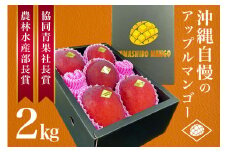 【 先行予約 2025年 発送 】 受賞多数!!山城マンゴー屋の 沖縄県産 マンゴー 2kg アップルマンゴー アーウィンマンゴー 2キロ 国産 完熟マンゴー 果物 南国 くだもの フルーツ 完熟 夏 旬 沖縄 お取り寄せ 産地直送 農家直送 甘い 濃厚 糸満市 