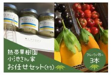 【先行予約 2025年 発送】熱帯果樹園小池さん家 お任せ セット （竹） フルーツバター 大瓶 3個入り 沖縄 旬 フルーツ 薬味 ハーブ 野菜 ナッツ お任せセット 果物 バター 詰め合わせ パッションフルーツ マンゴー ライチ 旬の果物 おまかせ  