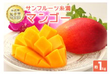 【 先行予約 2025年 発送 】 沖縄県知事賞4度受賞 サンフルーツ糸満 マンゴー 1kg アップルマンゴー アーウィンマンゴー 国産 完熟マンゴー 果物 南国 くだもの フルーツ 完熟 夏 旬 特産品 沖縄 お取り寄せ お土産 甘い 濃厚 沖縄県 糸満市 