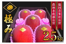 【 先行予約 2025年 発送 】 沖縄県産 マンゴー 『極み。』2.5kg 山城マンゴー屋 アップルマンゴー アーウィンマンゴー 国産 完熟マンゴー 果物 南国 くだもの フルーツ 完熟 夏 旬  沖縄 お取り寄せ 産地直送 農家直送 甘い 濃厚 糸満市 