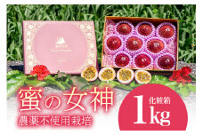 【 先行予約 2025年 発送 】 沖縄情熱農園 農薬不使用栽培 パッションフルーツ 「蜜の女神」1kg (化粧箱) 贈答用 贈答品 ギフト 沖縄県産 果物 フルーツ くだもの 産地直送 農家直送 産直 酸味 甘い 1キロ 贈り物 沖縄県 糸満市 