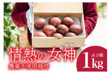 【先行予約 2025年発送】沖縄情熱農園 農薬不使用栽培 パッションフルーツ 「情熱の女神」 1kg （エコ箱） 沖縄 家庭用 甘味 酸味 追熟 フルーツ 果物 トロピカル 南国 スイーツ デザート βカロテン ビタミン 葉酸 国産 糸満市 