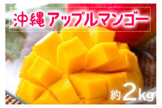 【 先行予約 2025年 発送 】 お手頃 「沖縄 アップルマンゴー 」 2kg 沖縄県産 マンゴー アーウィンマンゴー 2キロ 国産 完熟マンゴー 果物 南国 くだもの フルーツ 完熟 夏 旬 お取り寄せ 産地直送 農家直送 甘い 濃厚 糸満市 