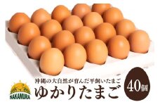 黄身がプリッ!沖縄の大自然が育んだ平飼い卵【ゆかりたまご】 40個 たまご （20個 ×2箱 ）破卵保証の5個を含む MSサイズ 平飼い 卵 タマゴ 産地直送 生卵 鶏卵 濃厚 玉子 卵料理 卵かけごはん TKG エッグ egg 沖縄産 お取り寄せ 沖縄県 糸満市 