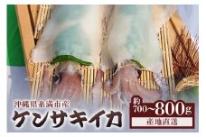 沖縄の漁師まちからお届け!糸満産 ケンサキイカ 700g ～ 800g イカ いか 冷凍 真空パック 水揚げ 急速冷凍 沖縄 産地直送 新鮮 イカ刺身 煮付け 魚介 海鮮 海の幸 刺身 イカフライ 姿焼き いかめし イカ刺 イカ飯 イカ焼き 剣先イカ 沖縄県 糸満市 