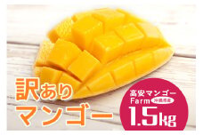 【訳アリ】【先行予約 2025年 発送】高安マンゴーFarm 産地直送 沖縄県産 訳あり マンゴー 1.5kg 完熟 訳アリ アップルマンゴー アーウィンマンゴー 1.5キロ 訳ありマンゴー 規格外 B品 不揃い 果物 フルーツ 夏 旬 沖縄 沖縄産 完熟マンゴー 自分用 糸満市 