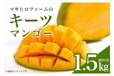 【先行予約 2025年 発送】 沖縄 マンゴー 農園マサヒロファームの キーツマンゴー ( 贈答用 ) 1.5kg 2玉 贈答品 ギフト 夏ギフト 化粧箱入り 夏 旬 沖縄マンゴー キーツ 果物 濃厚 1.5キロ manngo- 緑 マンゴー フルーツ 贈答 贈り物 糸満市 