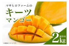 【 先行予約 2025年 発送 】 沖縄 マンゴー 農園マサヒロファームの キーツマンゴー ( 贈答用 ) 2kg 希少 緑色 2キロ 国産 果物 くだもの フルーツ 夏 旬 特産品 お取り寄せ 産地直送 農家直送 甘い 濃厚 糸満市 