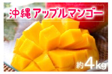 【 先行予約 2025年 発送 】お手頃 「沖縄 アップルマンゴー 」 4kg 沖縄県産 マンゴー アーウィンマンゴー 4キロ 国産 完熟マンゴー 果物 南国 くだもの フルーツ 完熟 夏 旬 お取り寄せ 産地直送 農家直送 甘い 濃厚 糸満市 