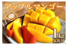 【 先行予約 2025年 発送 】 沖縄県産 アップルマンゴー 1kg 家庭用 山城マンゴー屋 マンゴー アーウィンマンゴー 1キロ 国産 完熟マンゴー 果物 南国 くだもの フルーツ 完熟 夏 旬 特産品 沖縄 お取り寄せ 産地直送 農家直送 甘い 濃厚 糸満市 