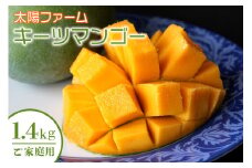【 先行予約 2025年 発送 】 農家直送 ! 太陽ファームの キーツマンゴー 1.4kg (ご家庭用) 沖縄県産 マンゴー 国産 果物 南国 くだもの フルーツ 夏 旬 特産品 沖縄 お取り寄せ 名産品 お土産 甘い 濃厚 家庭用 緑色 幻のマンゴー 沖縄県 糸満市 