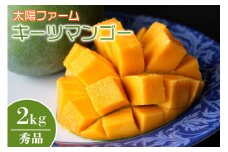 【先行予約 2025年 発送】 農家直送 太陽ファームの キーツマンゴー 2kg （ 秀品 ） 沖縄 マンゴー 緑色 希少 7月 8月 旬 夏 限定 産地直送 mango 沖縄マンゴー 2キロ 2～7玉 フルーツ 贈り物 ギフト 産地直送 沖縄県 糸満市 