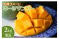 【2025年発送】農家直送！太陽ファームのキーツマンゴー2kg（秀品）